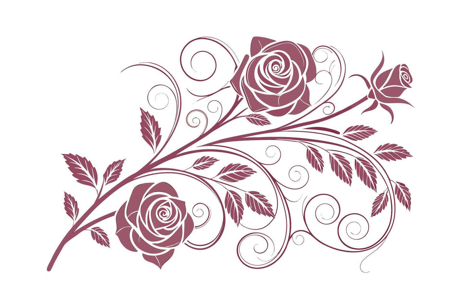 Burgundy rose floral vine with swirling stems leaves vector