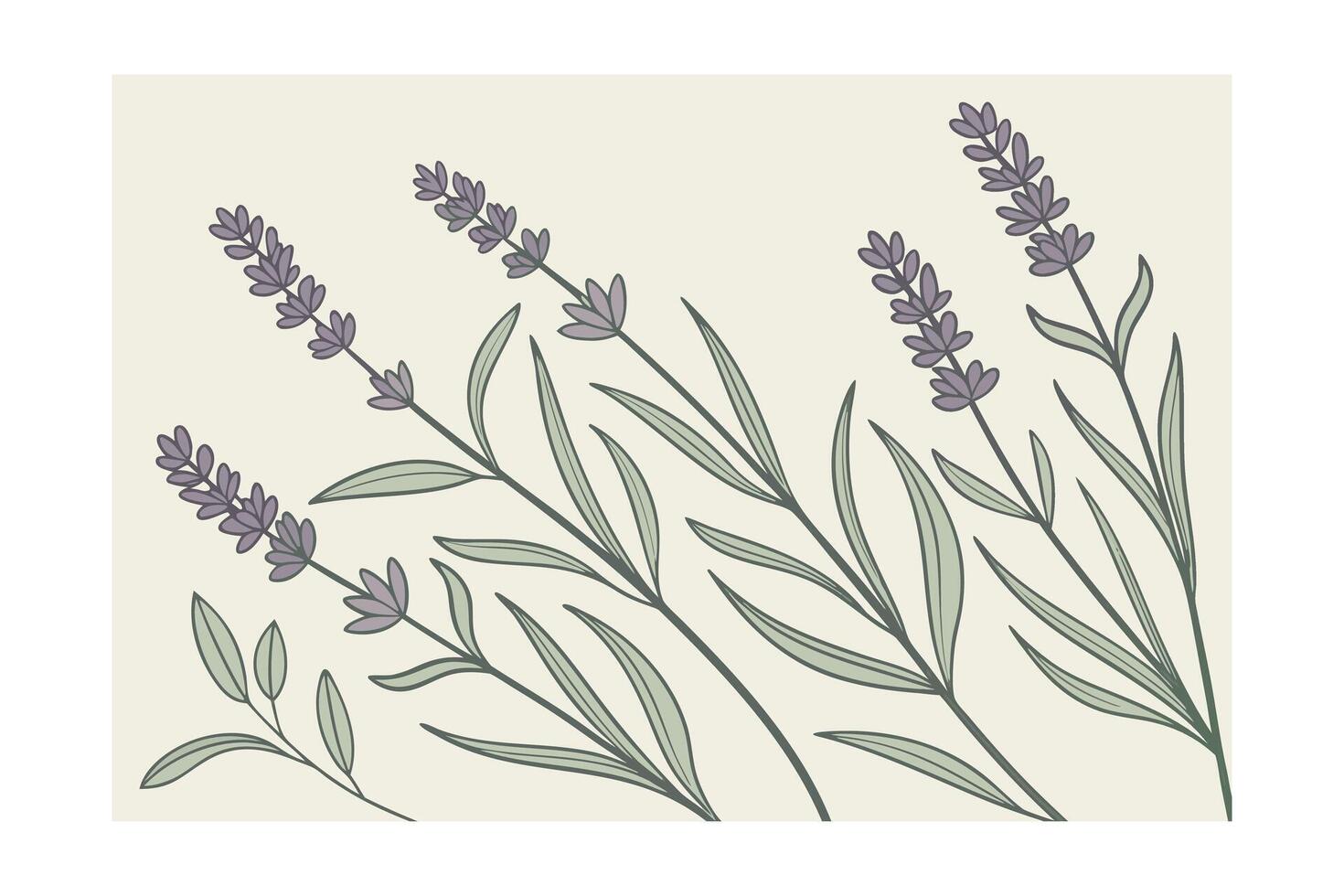 Monoline lavender eucalyptus branches on pale yellow floral botanical vector