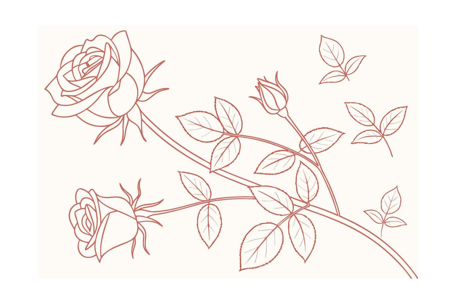 Delicate rose outlines with pale peach color on a cream floral flower vector