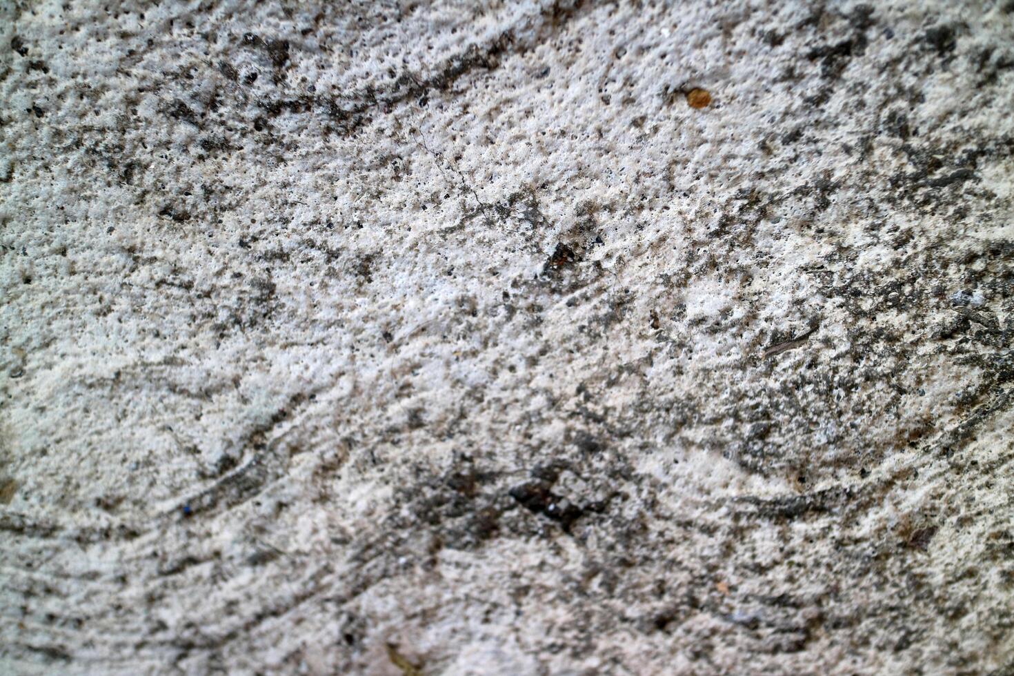 Textured Gray and White Surface photo