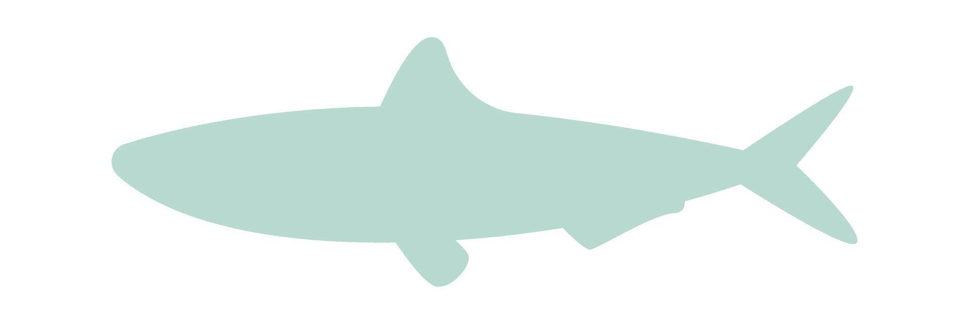 Shark shape flat icon Marine animal silhouette Illustration vector