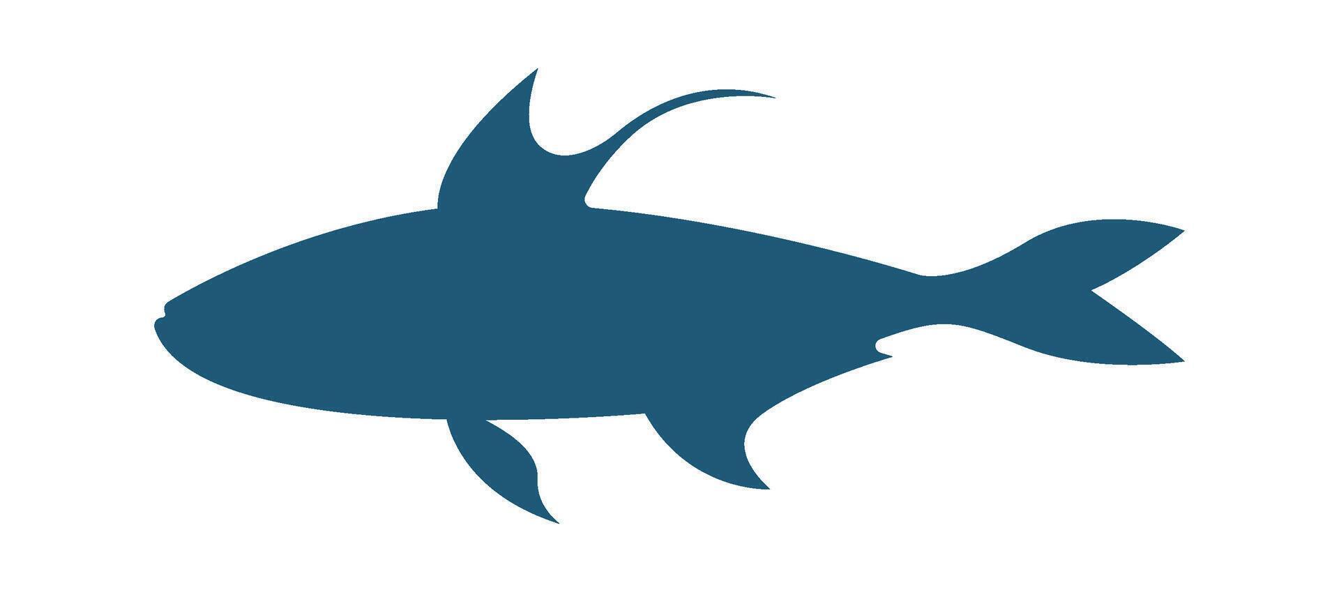 Shark shape flat icon Marine animal silhouette vector