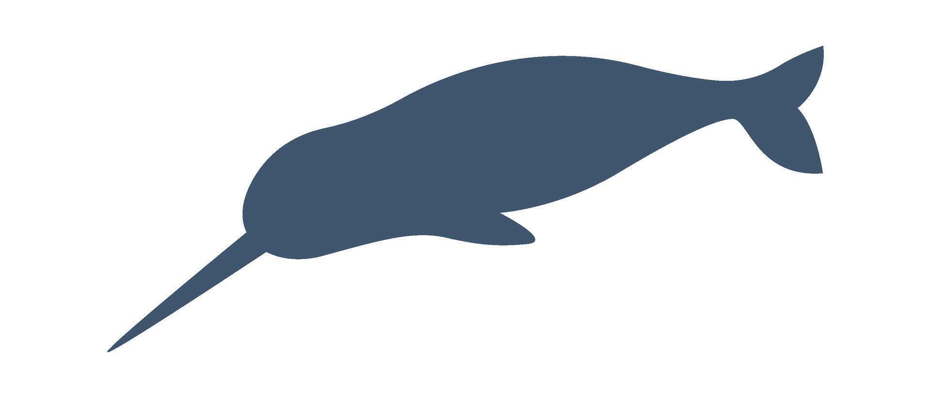 Narwhal marine animal silhouette flat icon vector