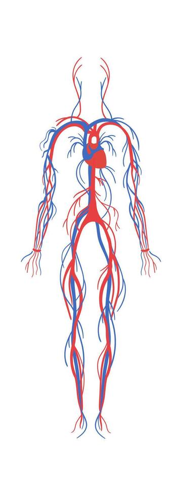 Nervous system flat icon Human anatomy vector