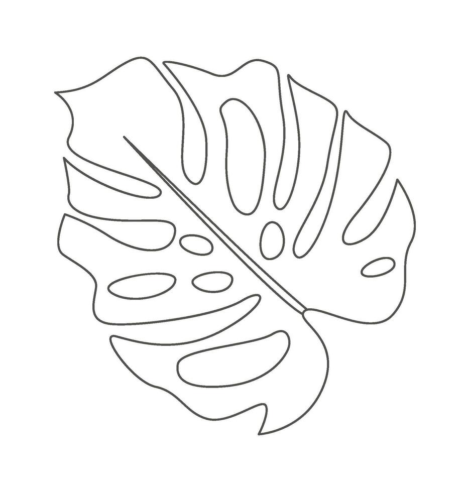 Monstera leaf of tropical plant line art design element Icon vector