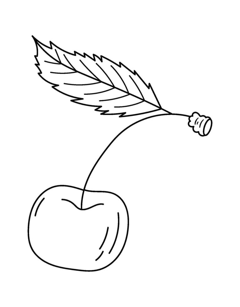 Cherry with leaf in line art illustration Sketch art Illustration vector