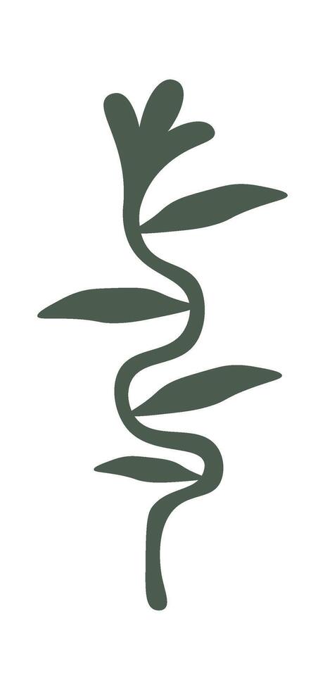 Plant flat illustration Decorative flowers and houseplants Illustration vector