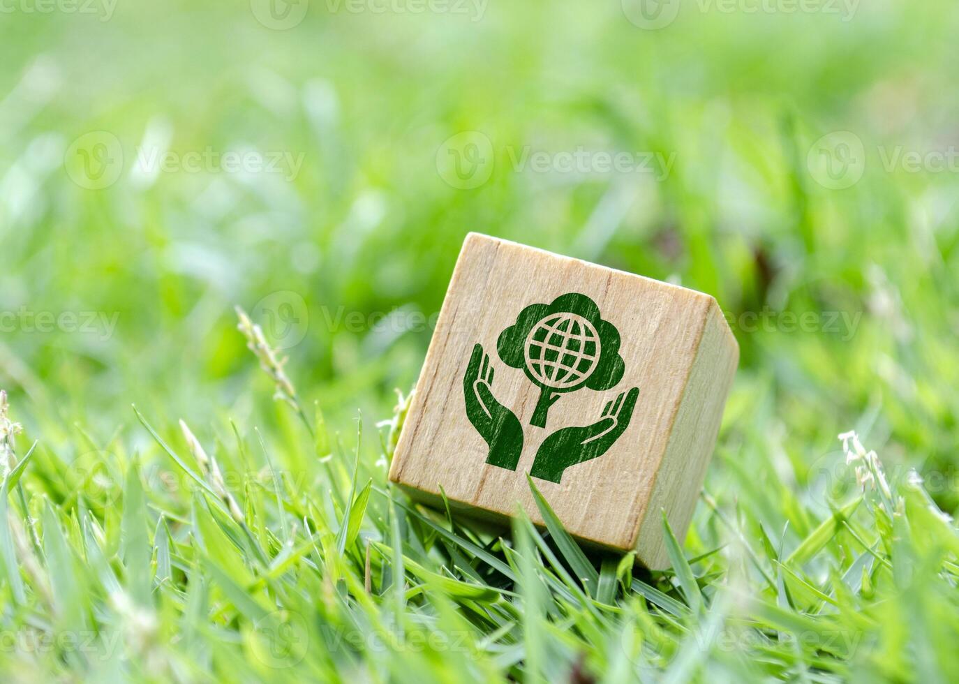 Wooden cube with symbol of mother nature and earth on green grass photo