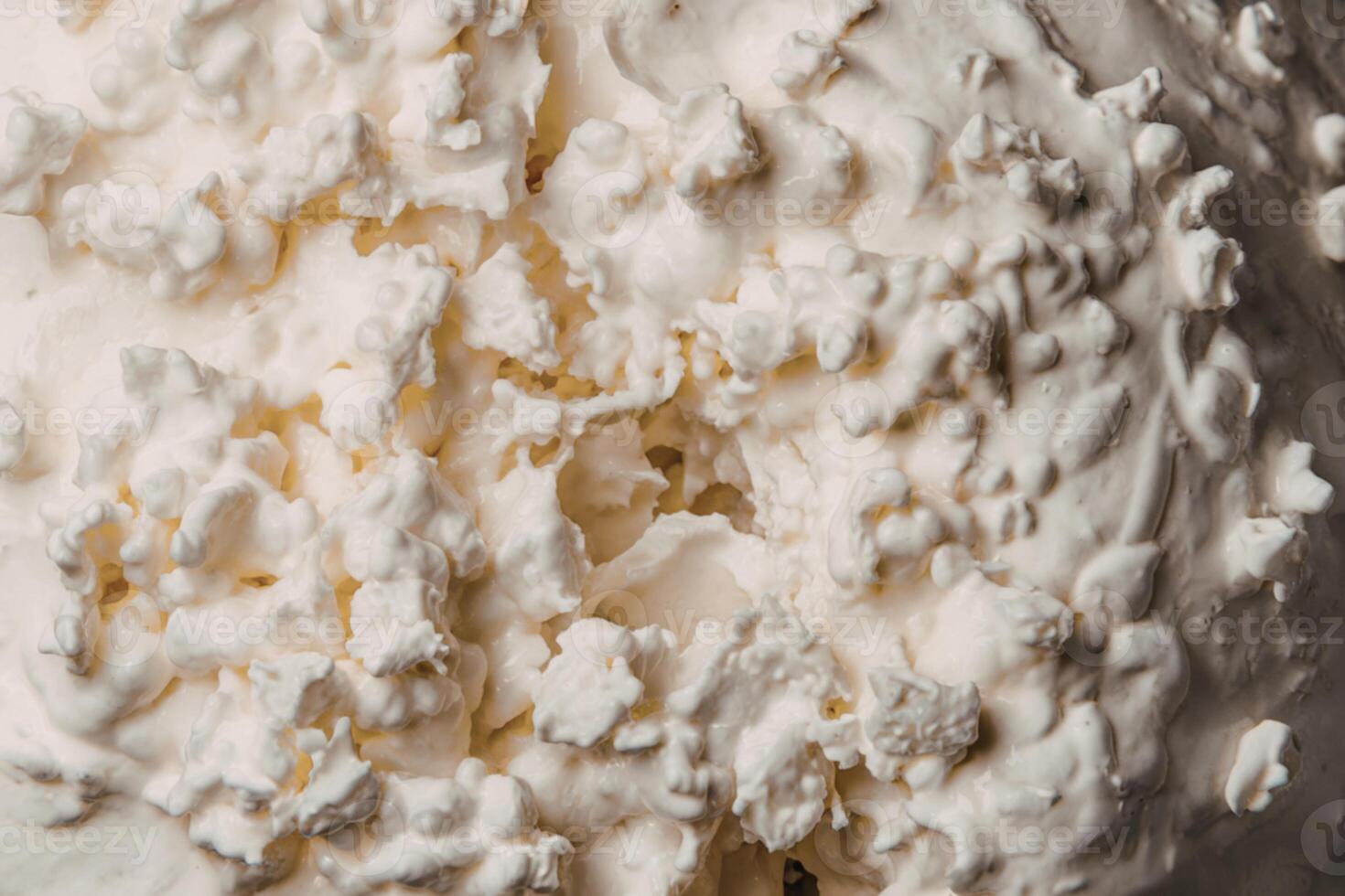 A close-up photo of cottage cheese.