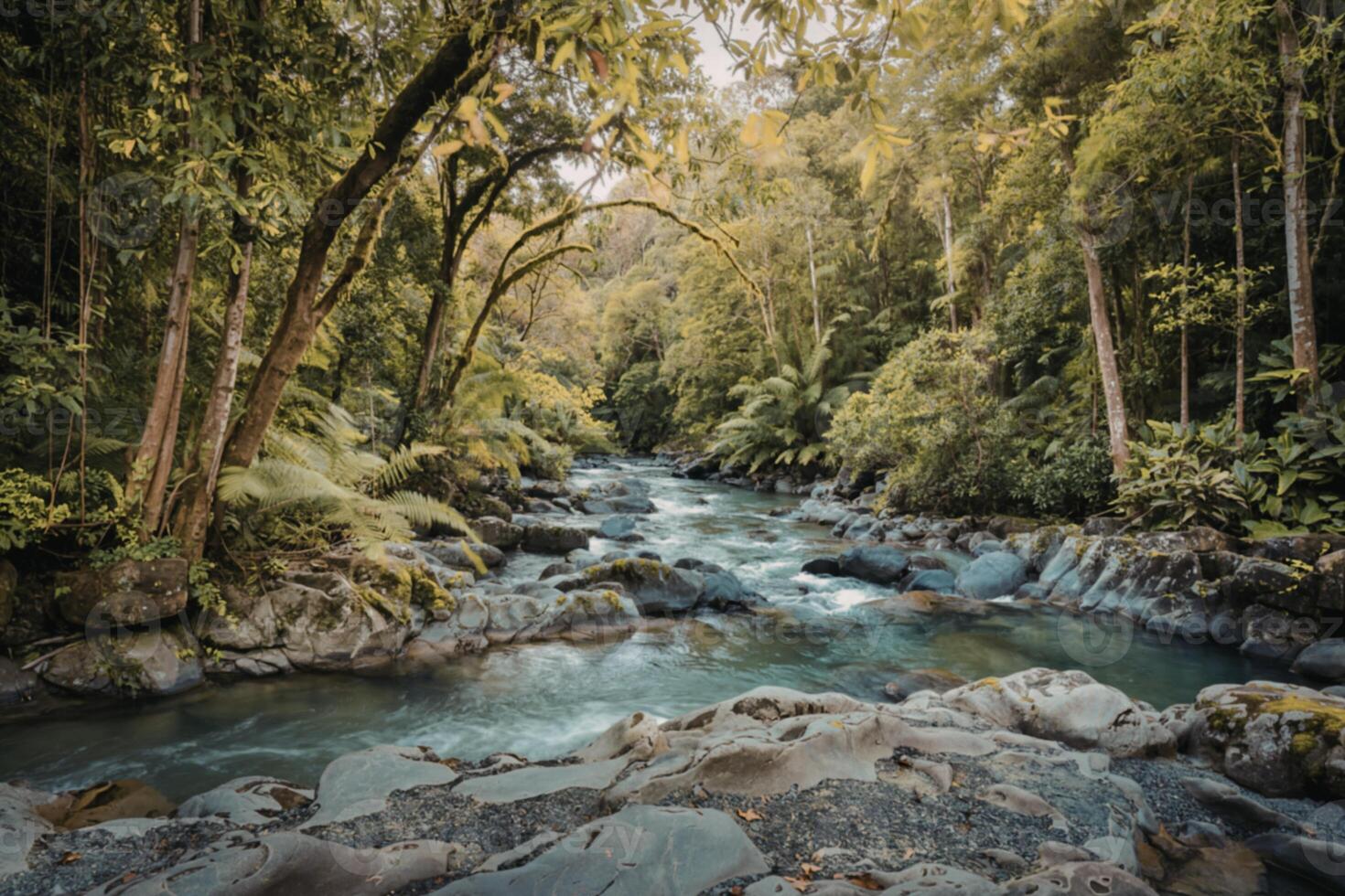 River flowing through lush forest photo
