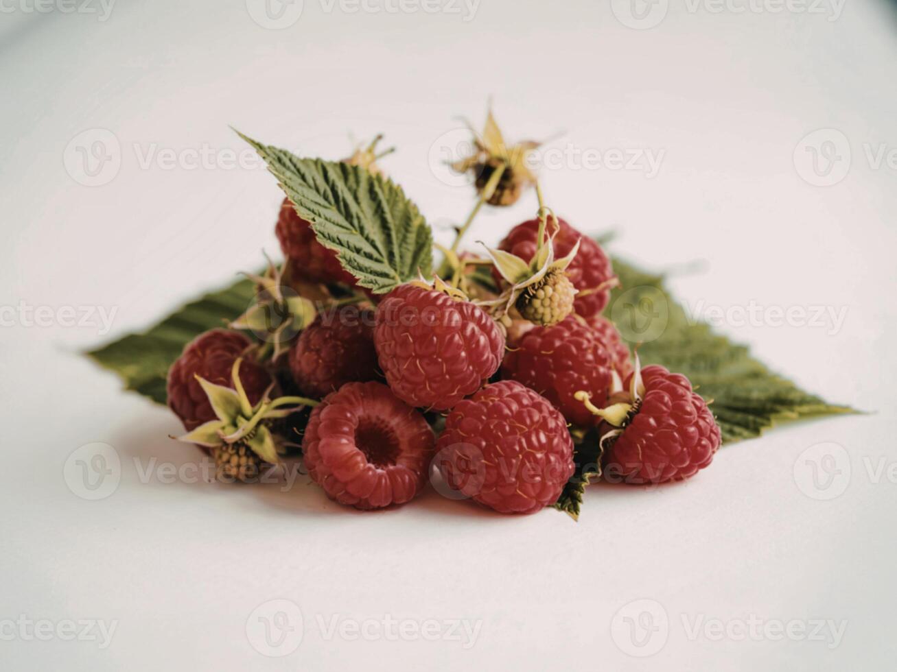 Fresh raspberries and green leaves arrangement photo