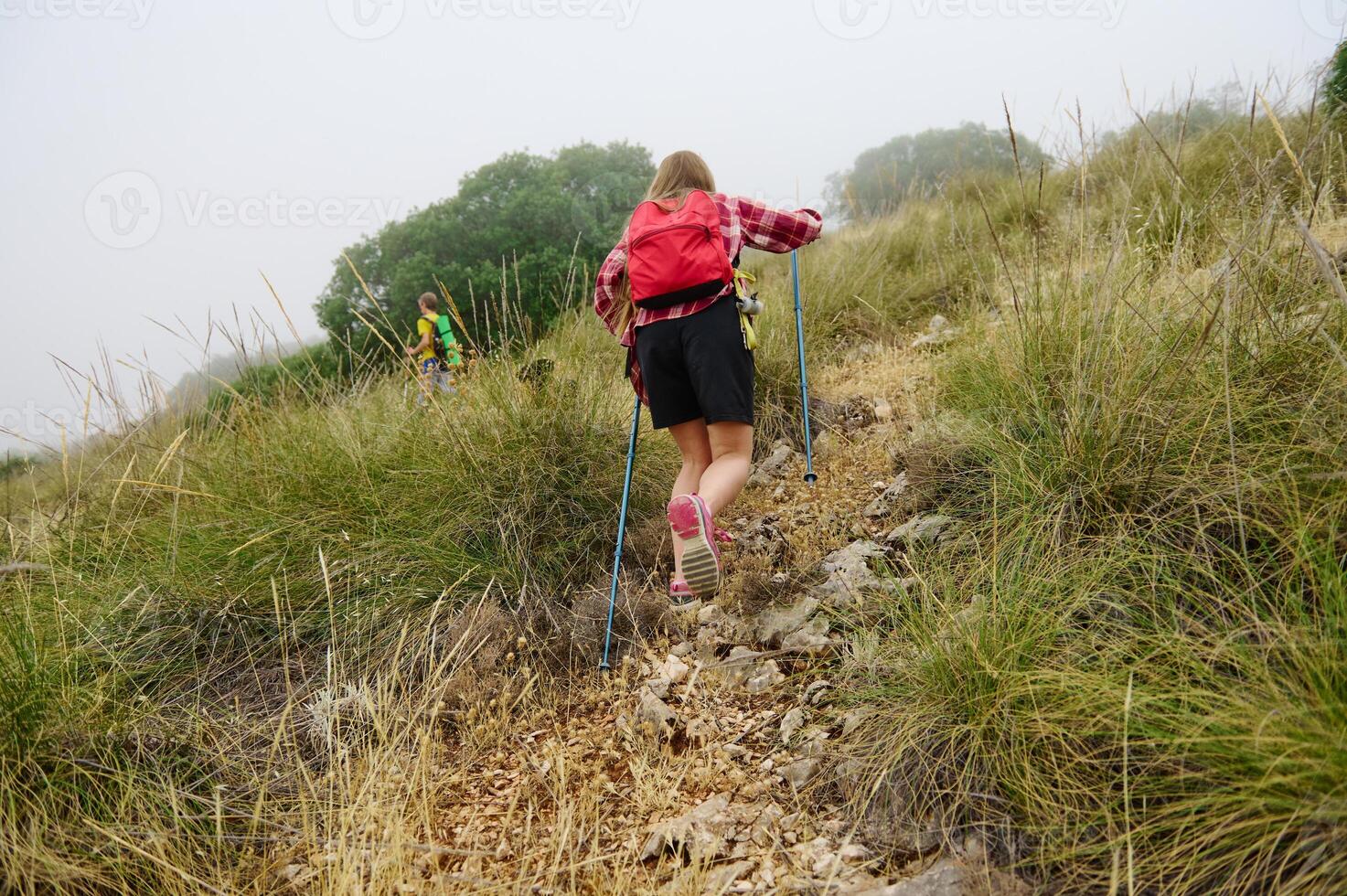 Outdoor Adventure Featuring Hikers Traversing a Grass-Covered Mountain Trail on a Foggy Day photo
