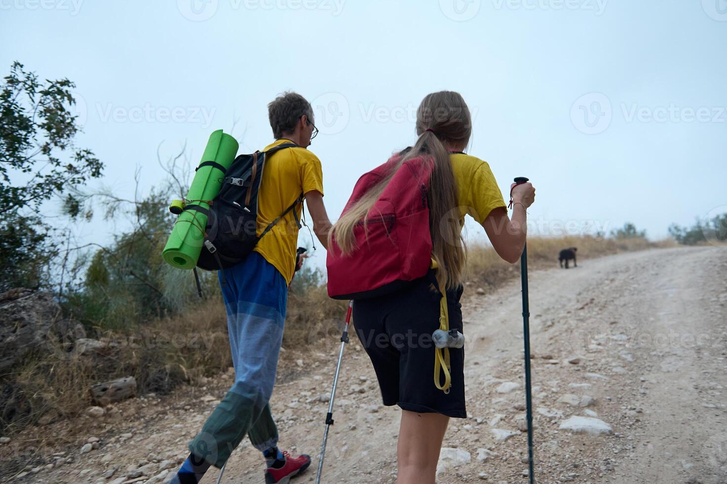 Young Couple Hiking with Trekking Poles and Dog in Rocky Nature Landscape photo