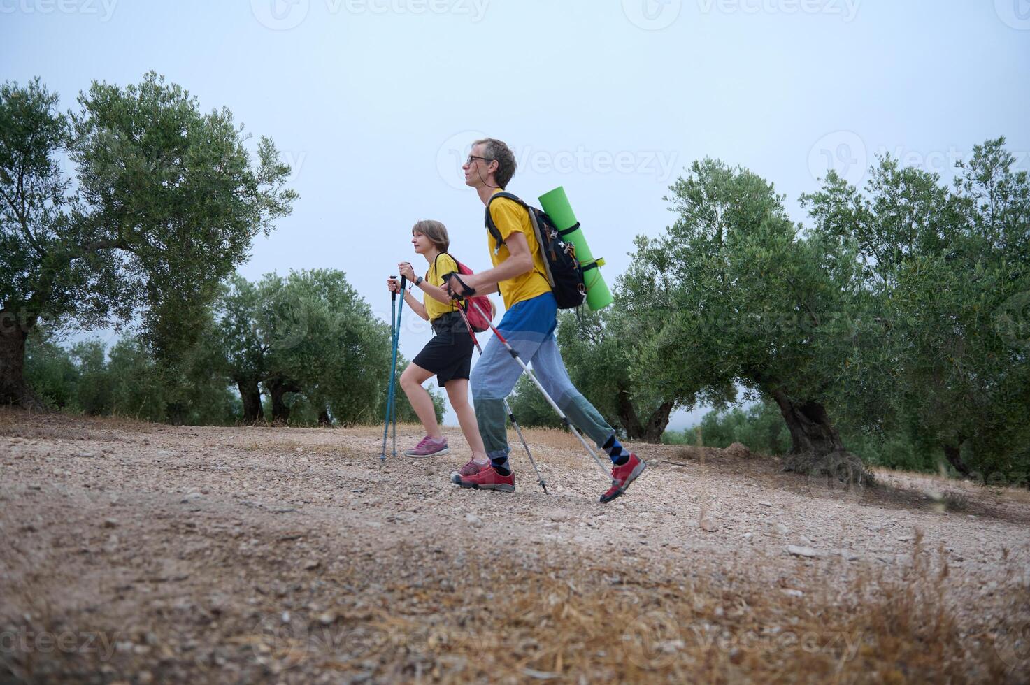 Young Couple Engaging in Hiking with Trekking Poles in Scenic Nature photo