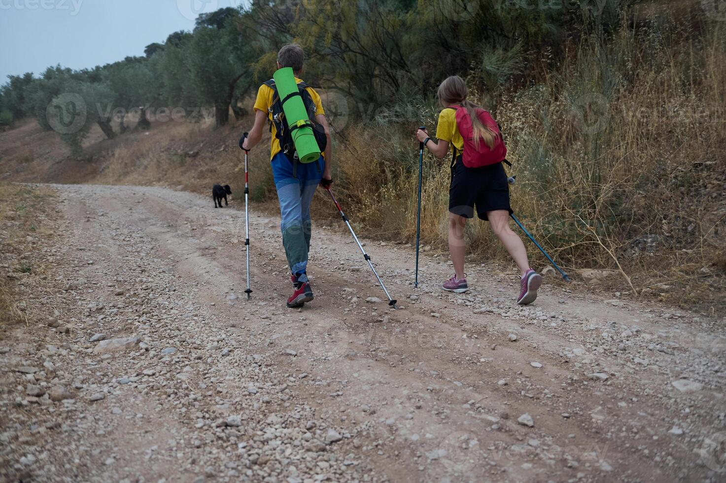Young Couple Hiking in Nature with Trekking Poles and Dog photo