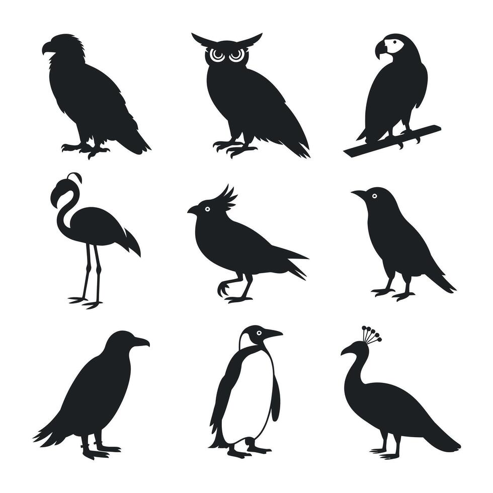 A Diverse Avian Collection Featuring Majestic Eagles Wise Owls Colorful Parrots Elegant Flamingos Unique Cockatoos Common Crows Playful Penguins and Regal Peacocks in Silhouette vector