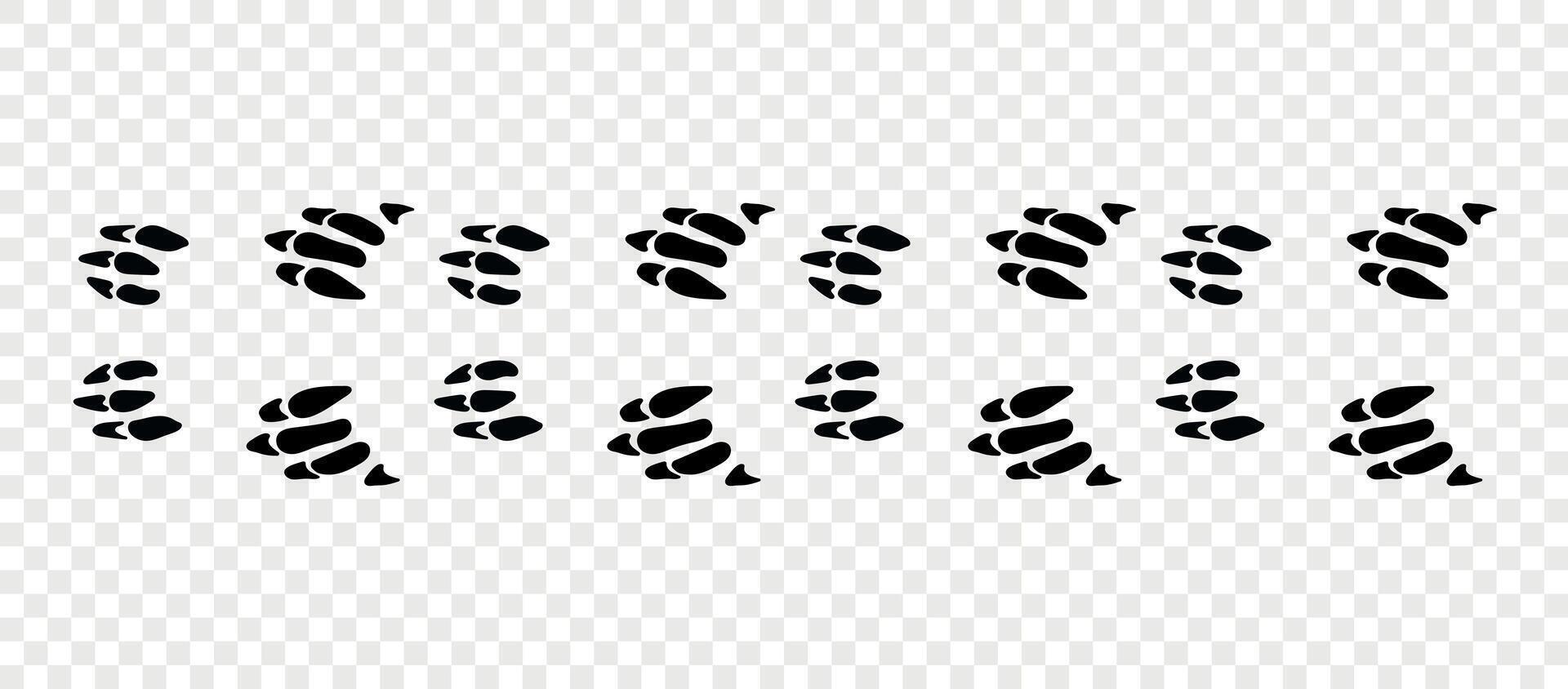 Footpath trail of animal. Aardvark paws. Aardvark paws walking randomly print isolated on checkered background vector