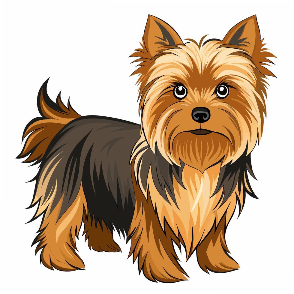 Dog yorkshire terrier . Isolated on white background. Suitable for posters, logo vector