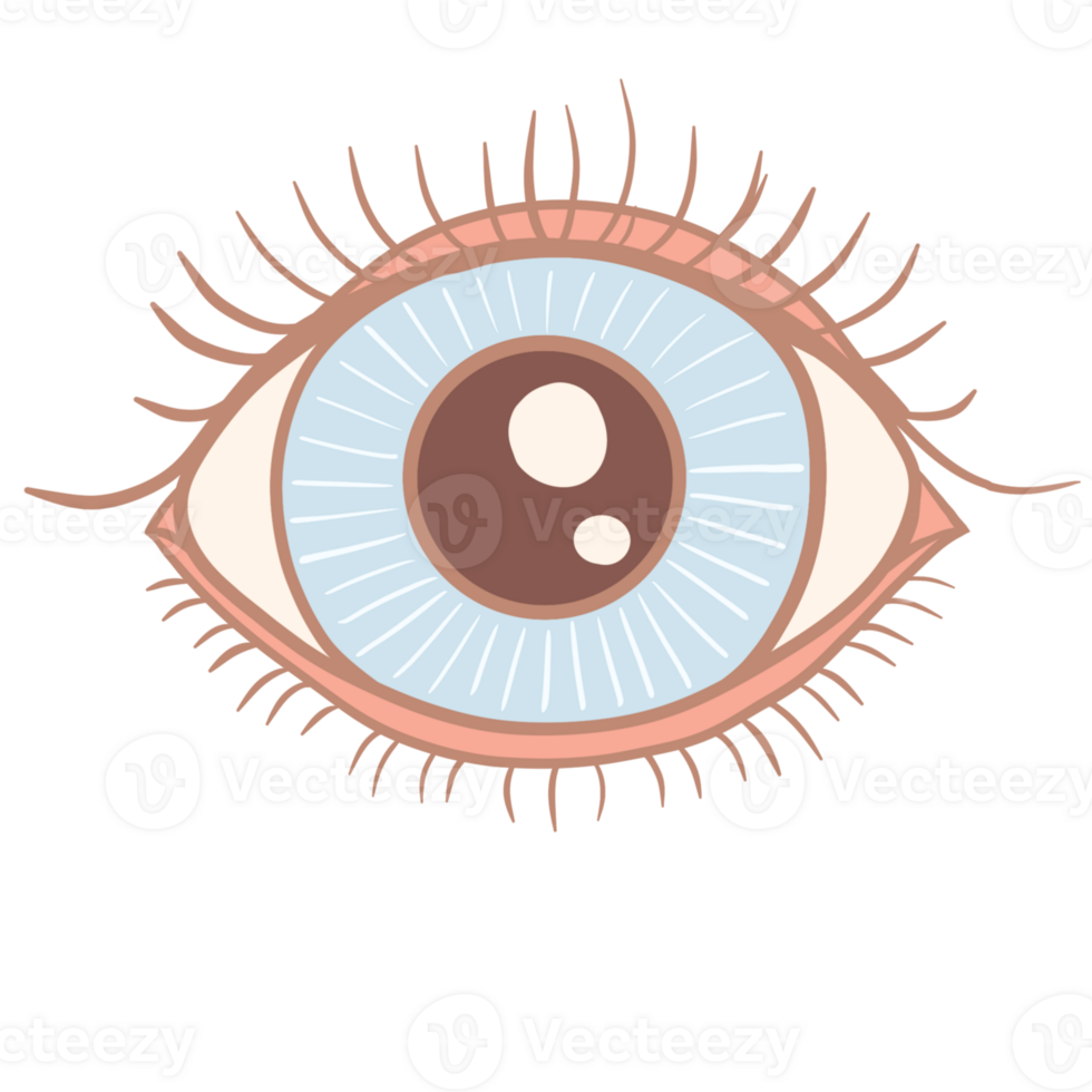 an eye with a blue and brown iris png