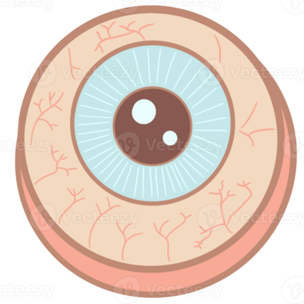 Anatomy Eye Pastel Cute png