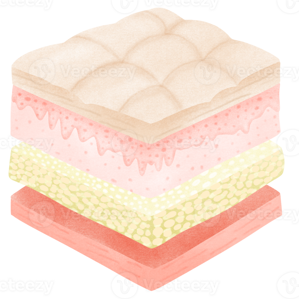 Anatomy of the skin layer png