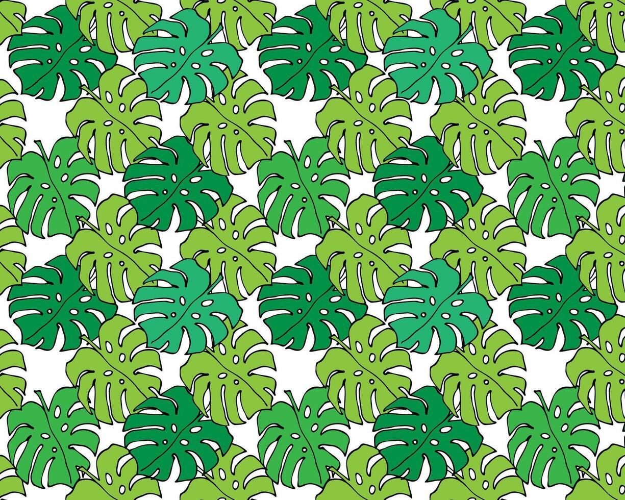 colorful pattern of hand drawn monstera leaves on white background. vector