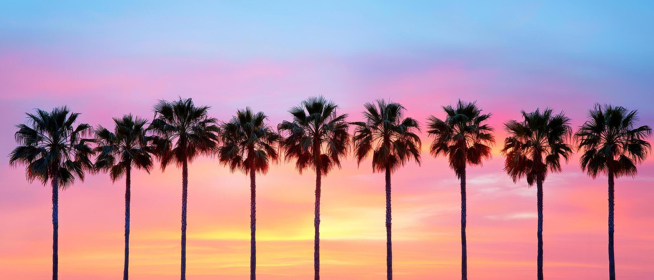 Tropical sunset with silhouetted palm trees against a colorful sky. Sunsets and sunrises aesthetic, twilight, peaceful, atmosphere, cloudscape concept. photo