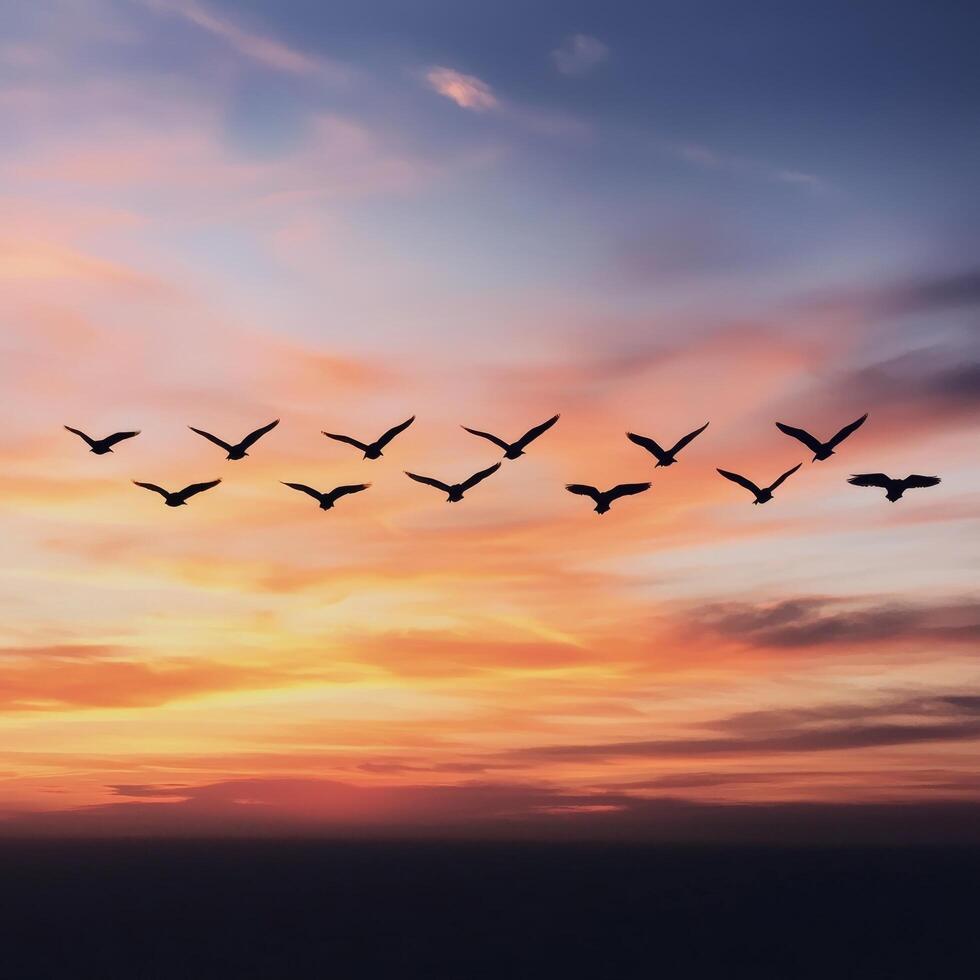 Flying birds against a colorful sunset sky. Sunsets and sunrises aesthetic, twilight, peaceful, atmosphere, cloudscape concept. photo