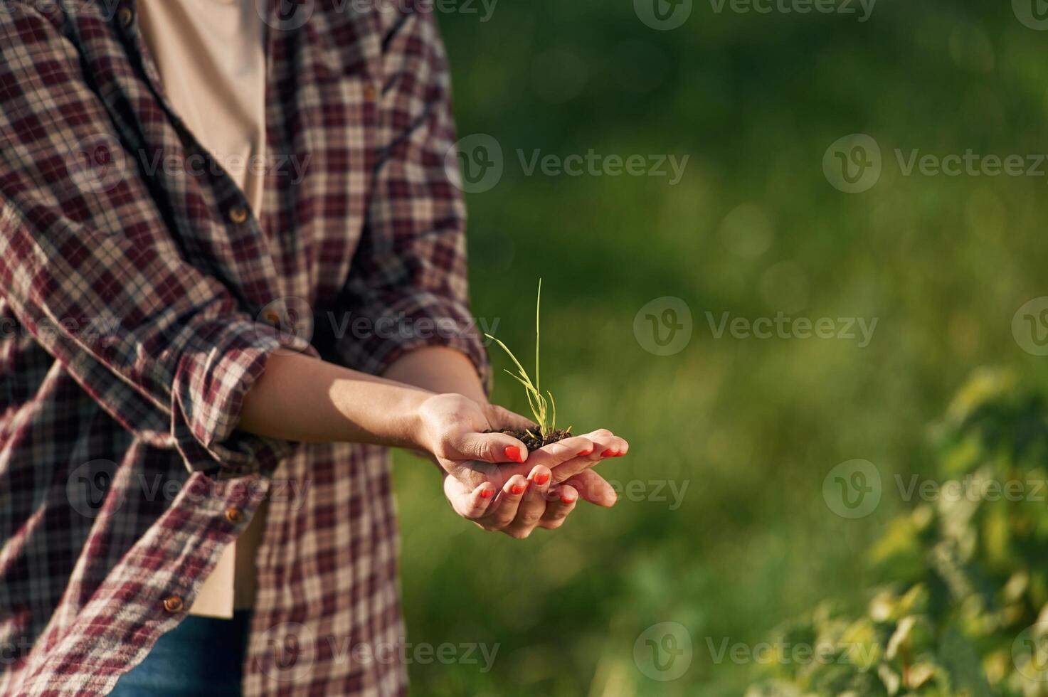 Close up view of soil and plant ,in ,hands. Young woman is on the beautiful agricultural field at daytime photo