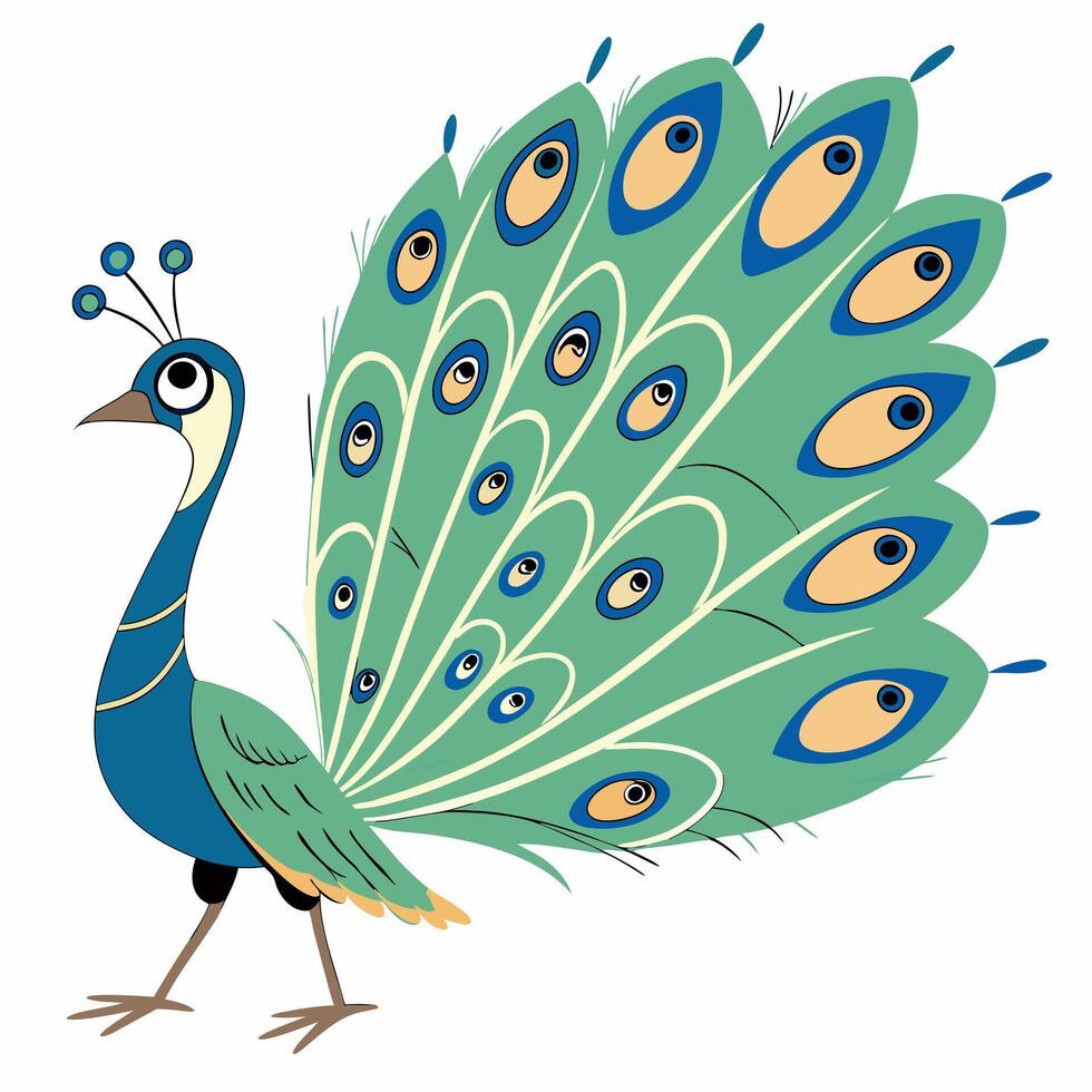 Cartoon Peacock Bird. Illustration isolated on white background. Side view. vector