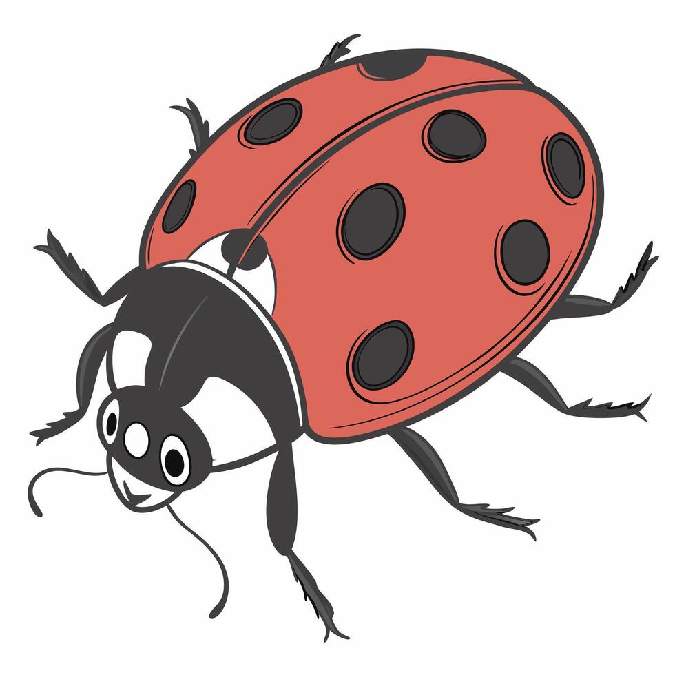 Cute red ladybug. Illustration isolated on white background.Side view. vector