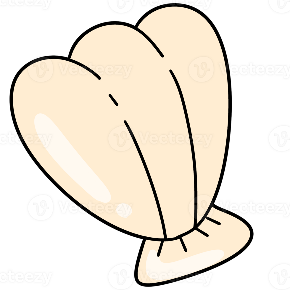 White seashell for summer png