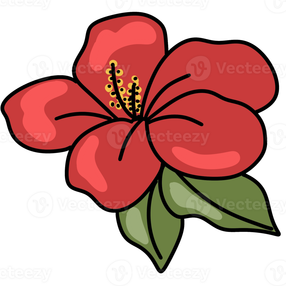 bright red hibiscus flower png