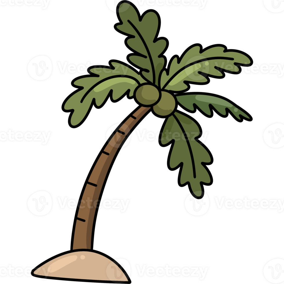 Coconut trees blowing in the sea png