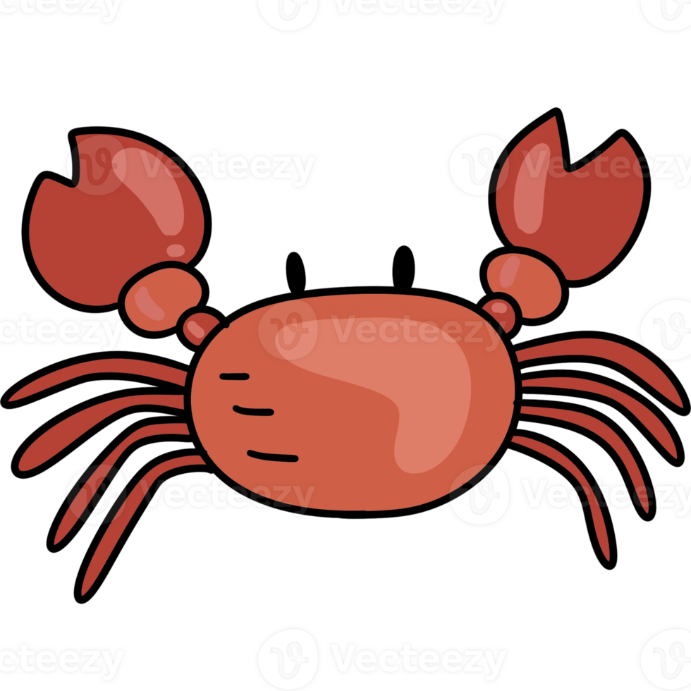 crab , red crab in the summer beach png