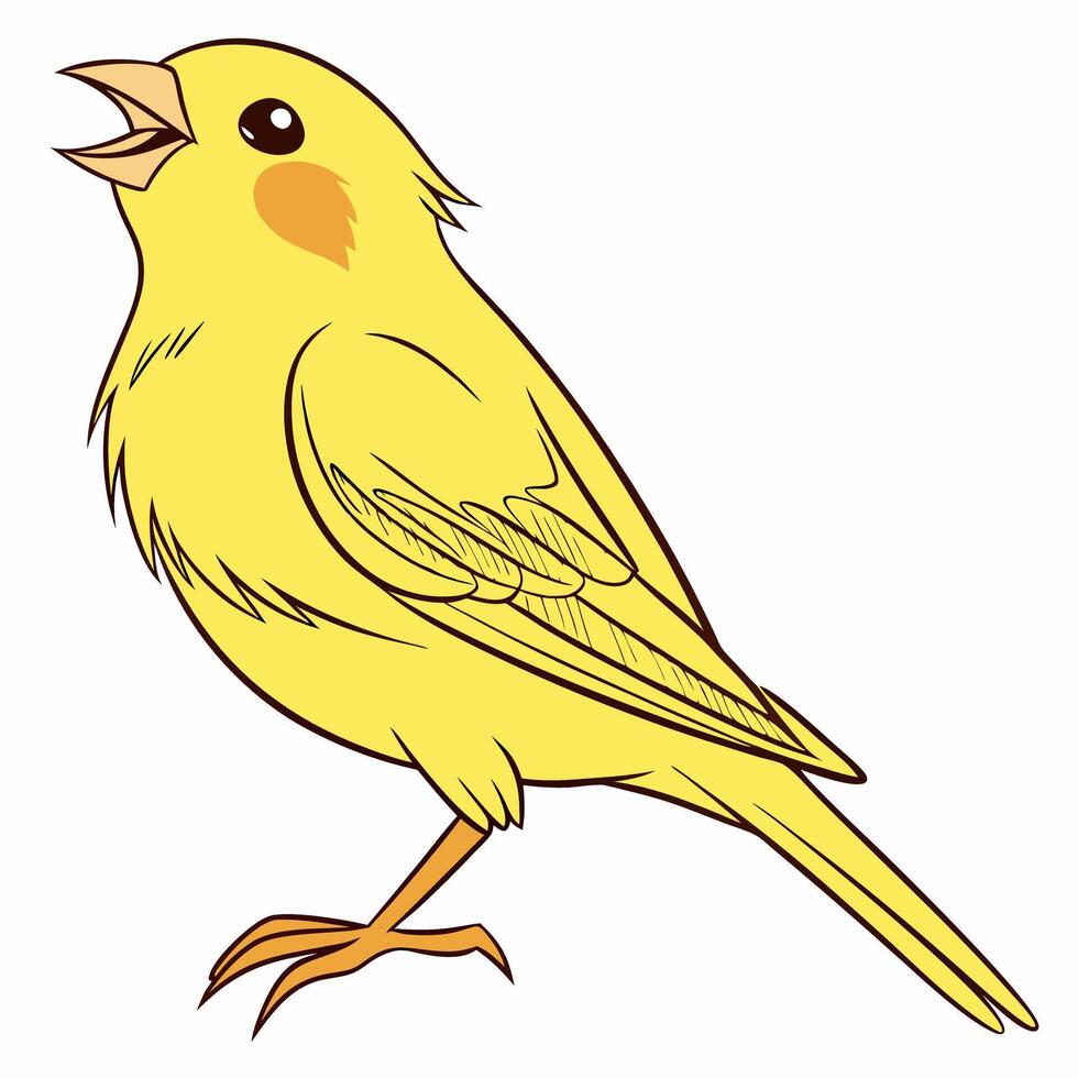 Cartoon canary illustration isolated on white background. vector