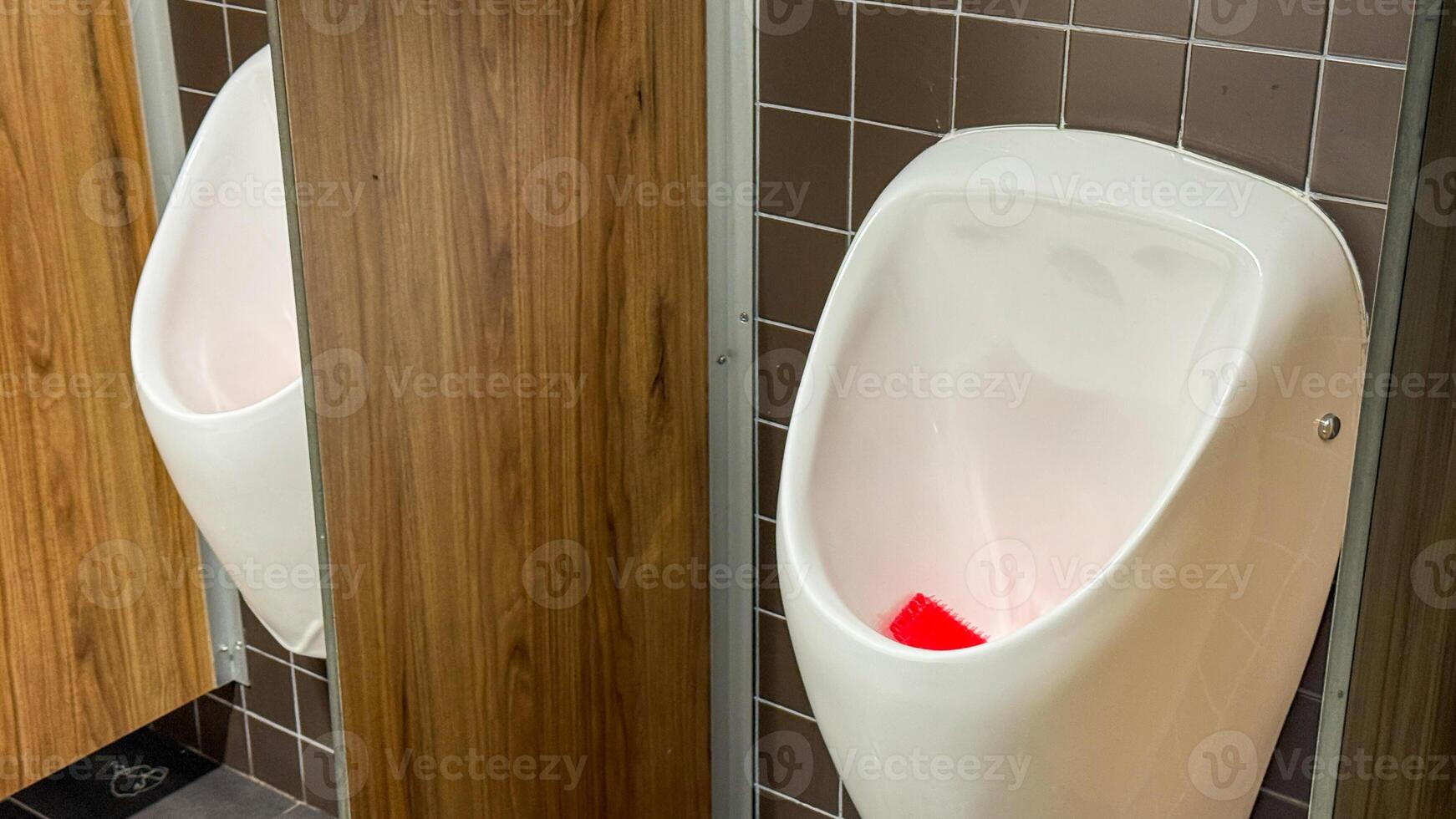 Pristine porcelain urinals bask in minimalist elegance, secretively nodding to World Toilet Day and unconventional restroom design appreciation photo