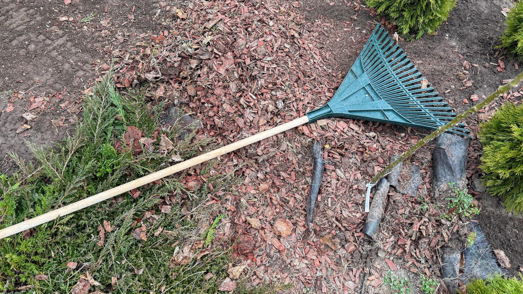 A solitary rake rests on earthy mulch, an ode to autumns embrace and Quiet Garden Meditation Day photo