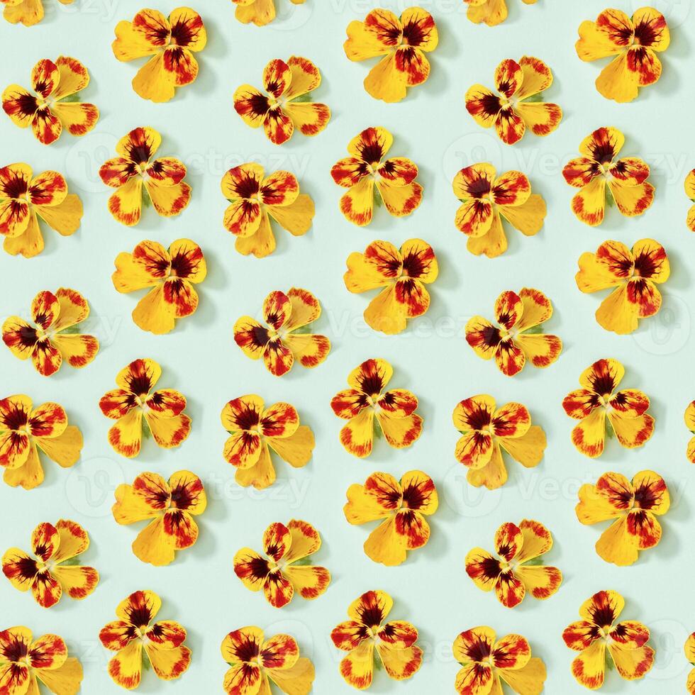 Seamless pattern with natural blossom flowers heartsease. Small bright blooming buds of flowers pansy. photo
