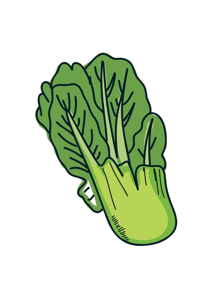Cute doodle napa cabbage in format vector