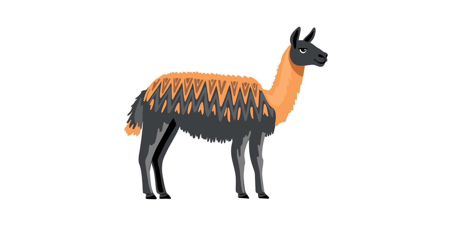 colorful llama in cartoon style vector