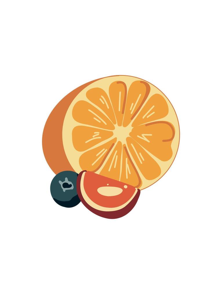 Summer fruits in minimalist style vector