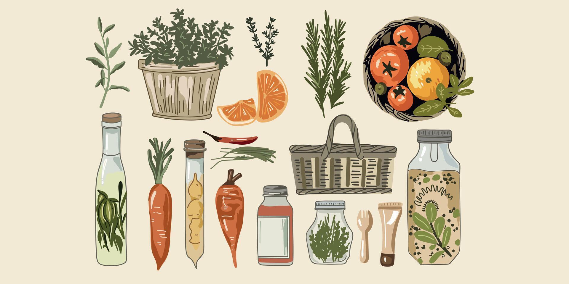 organic food set vector