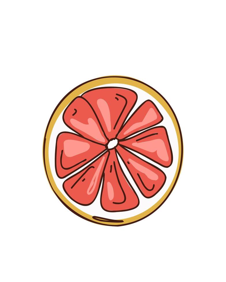 Citrus slice on white background vector
