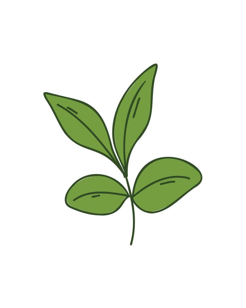 branch with green leaves vector