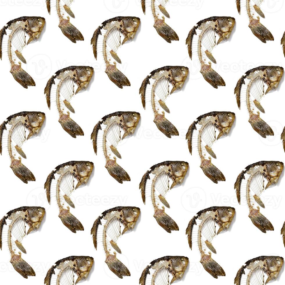 Seamless pattern from fish skeleton that was eaten. Bones crucian carp isolated, creative food print. photo