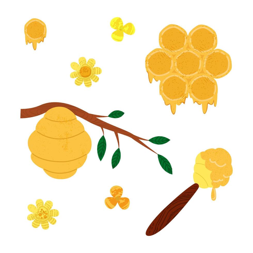 Set with honey, honeycomb pieces, beehive on tree branch, chamomile flowers, flowing liquid on stick hand drawn with trendy textures vector