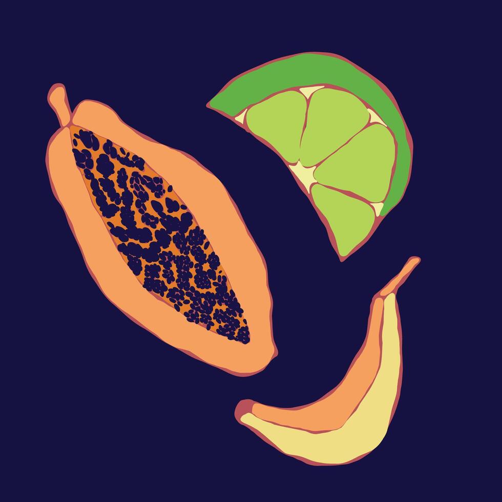 Colorful Tropical Fruits for Summer Design vector