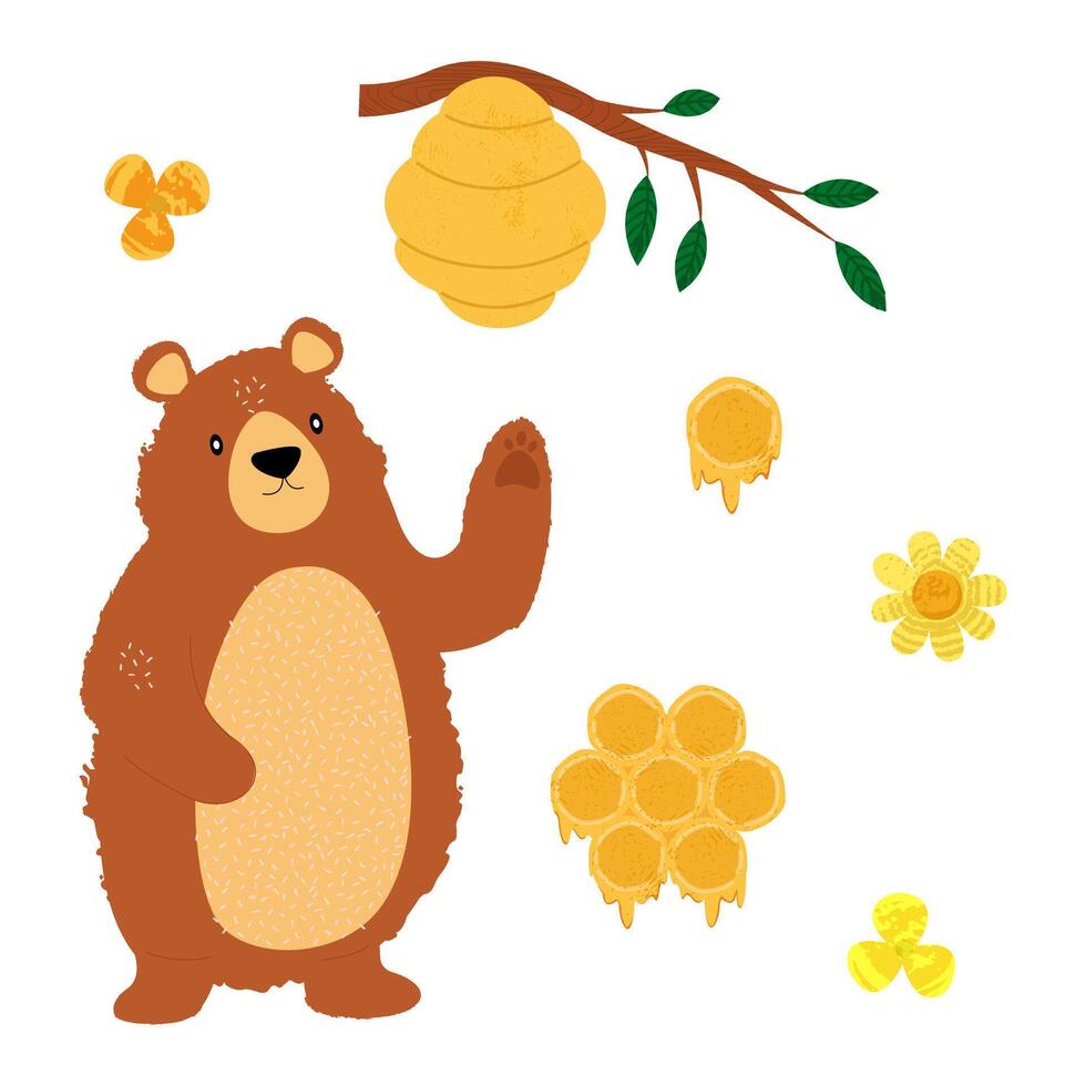 Set with bear, honey, honeycomb, beehive on tree branch, chamomile flowers, hand drawn with trendy textures vector