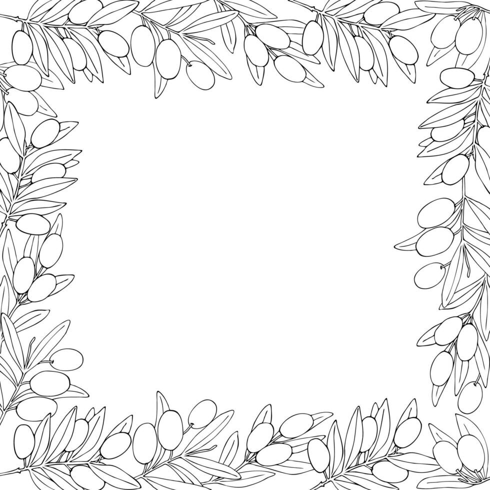 Square frame of olive branches, hand drawn in cartoon style. Black and white outline drawing. vector